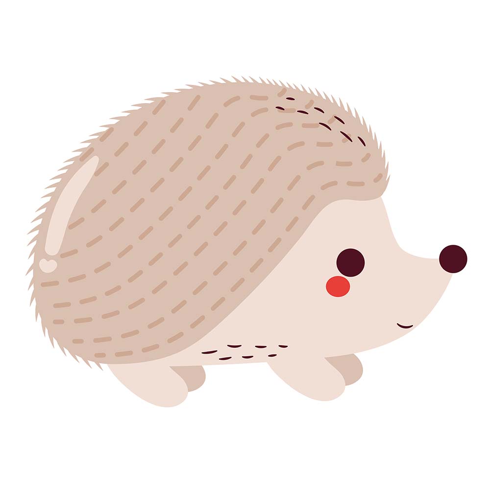 Kinder Sehtest Frankfurt